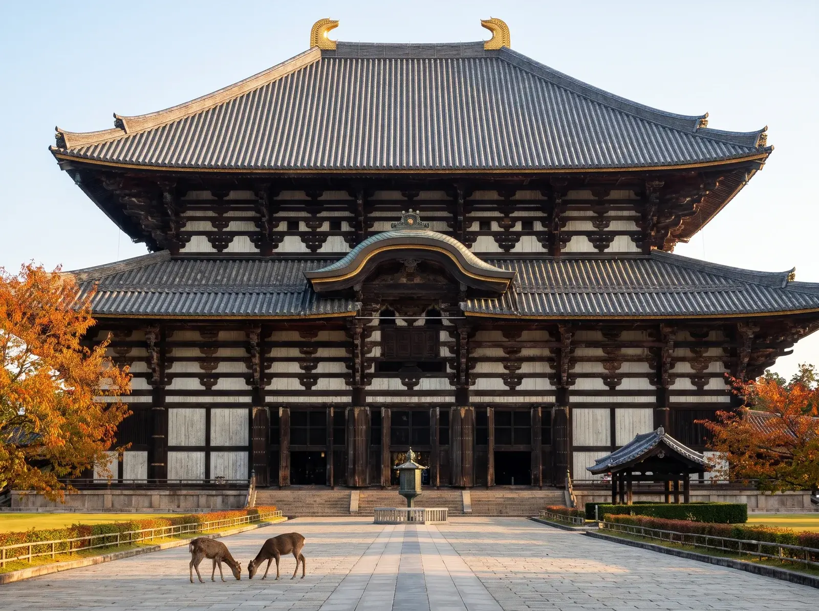 Geniş ahşap Todaiji salonunun önündeki yaklaşım yolunda Nara geyikleri.