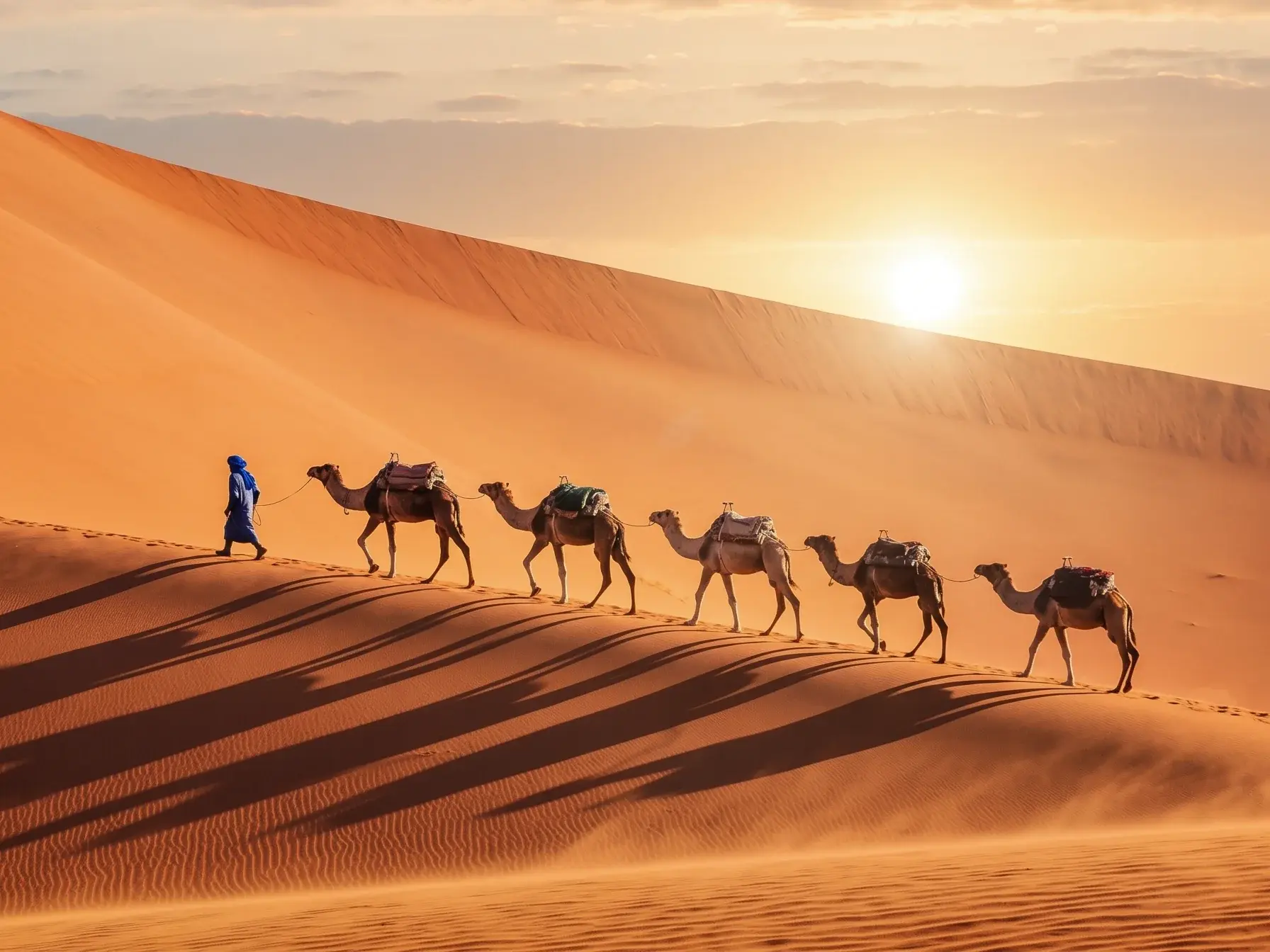 Merzouga'da Sahra kumullarında gün doğumu ve deve kervanı