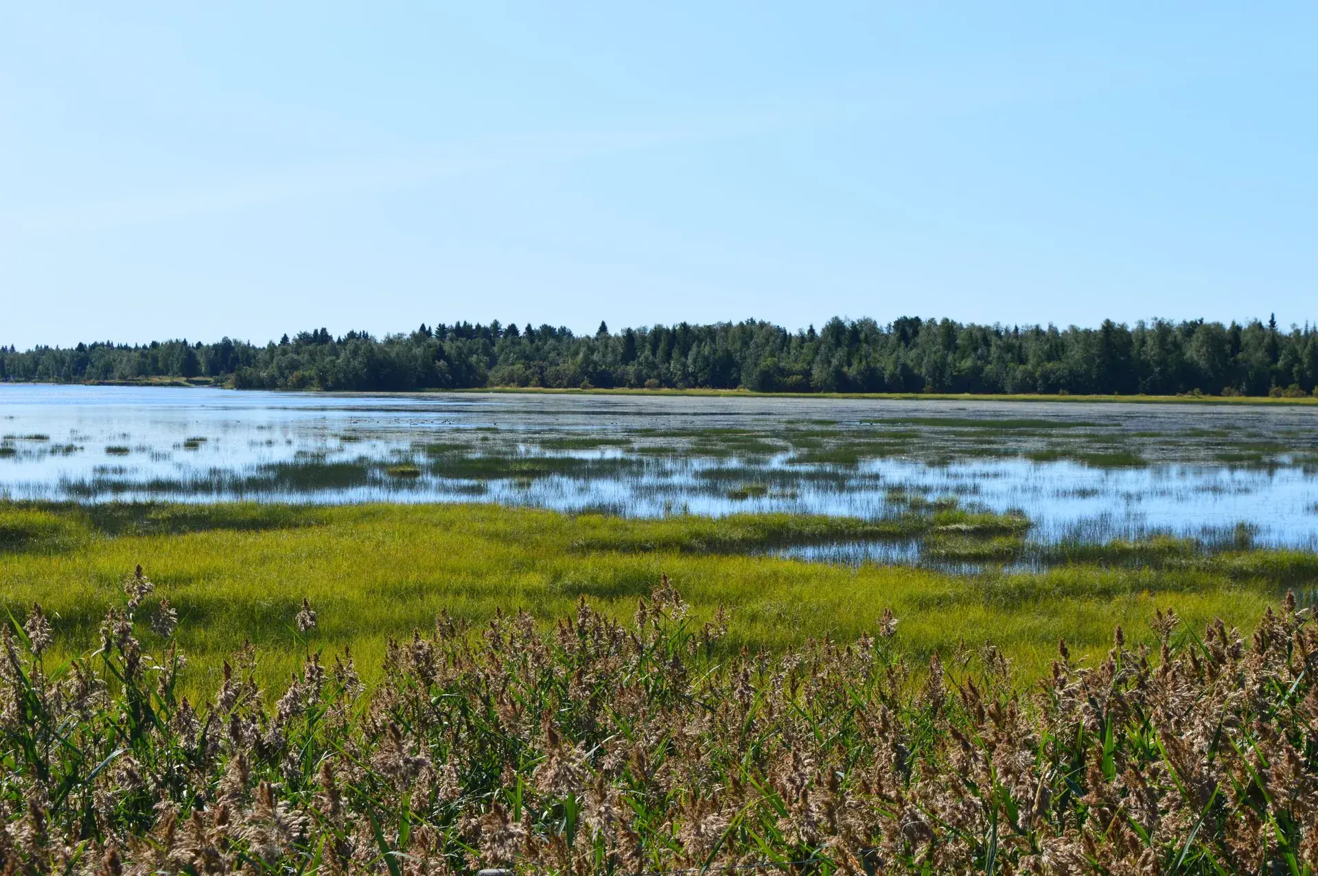Haparanda