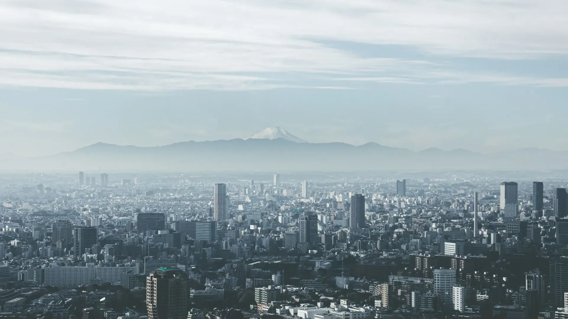 Japonya Turu