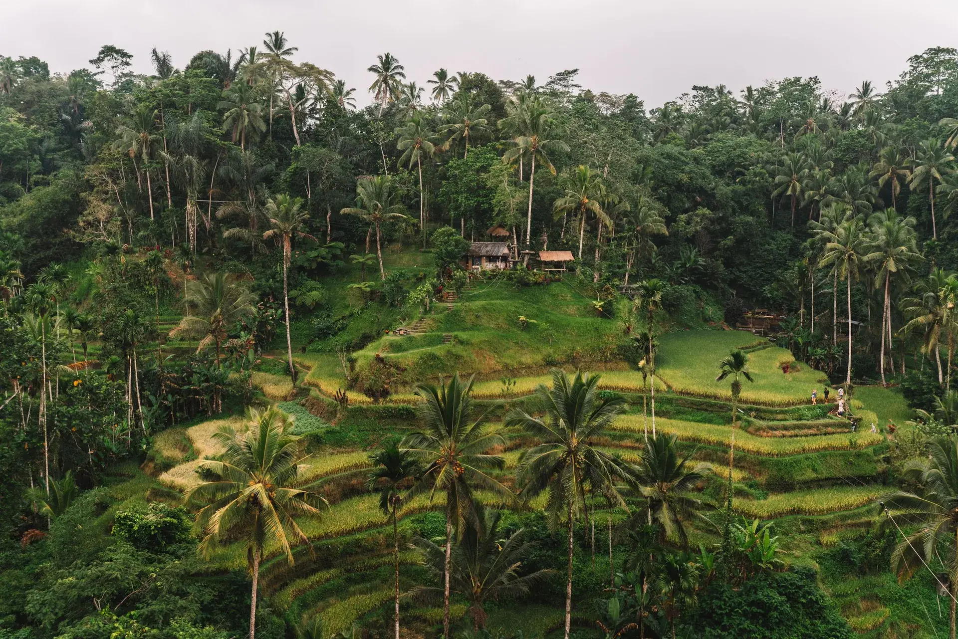 Ubud
