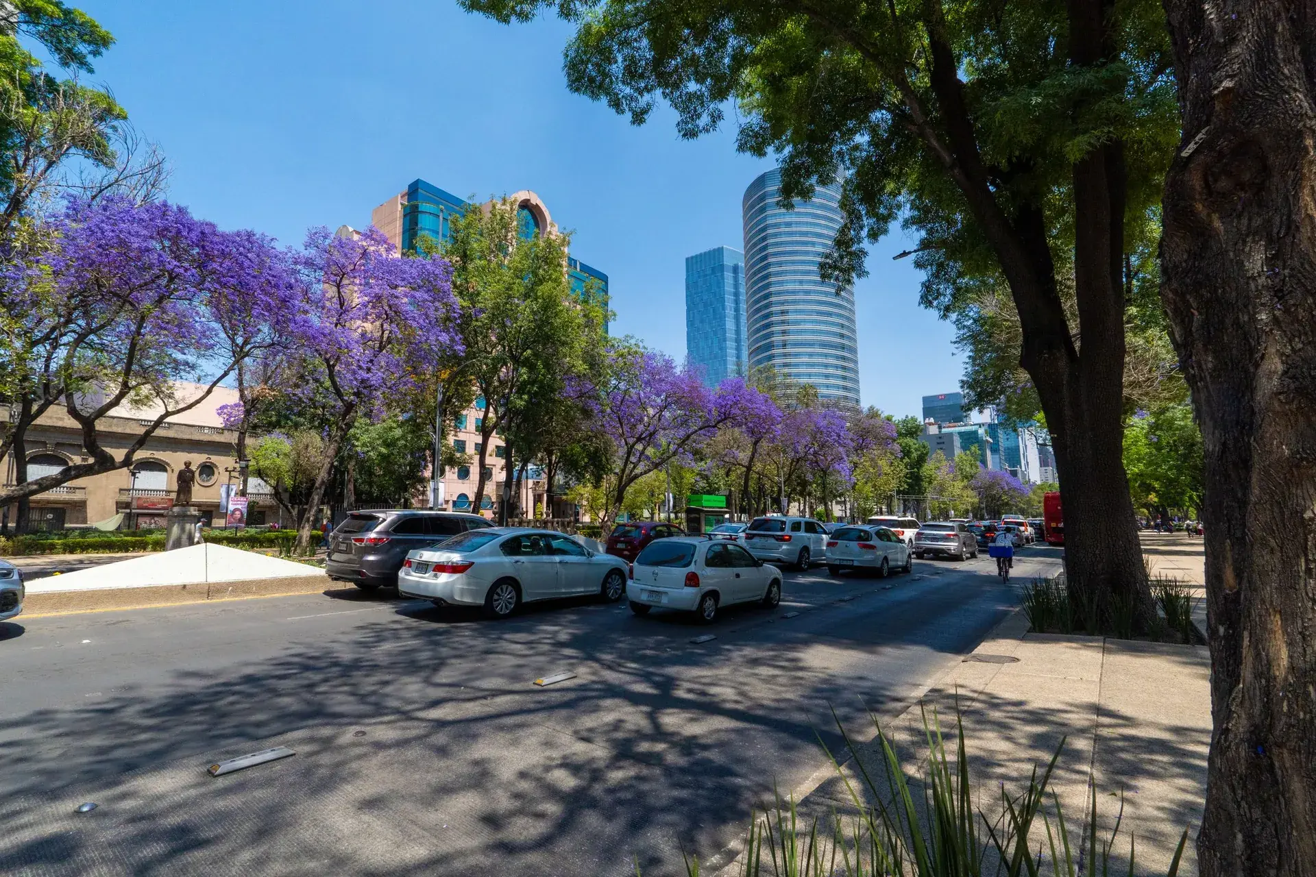 Ciudad de Mexico