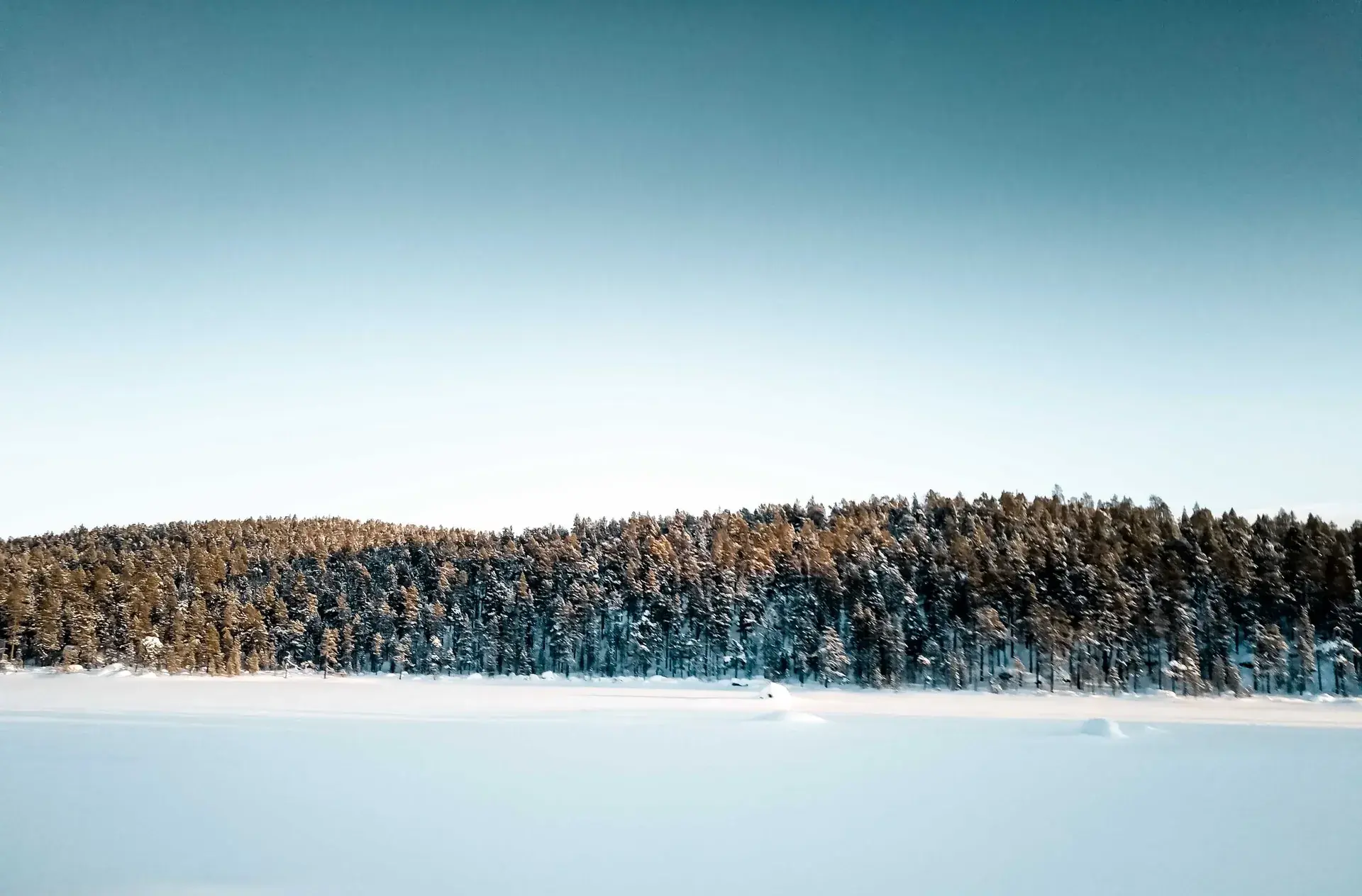 Inari