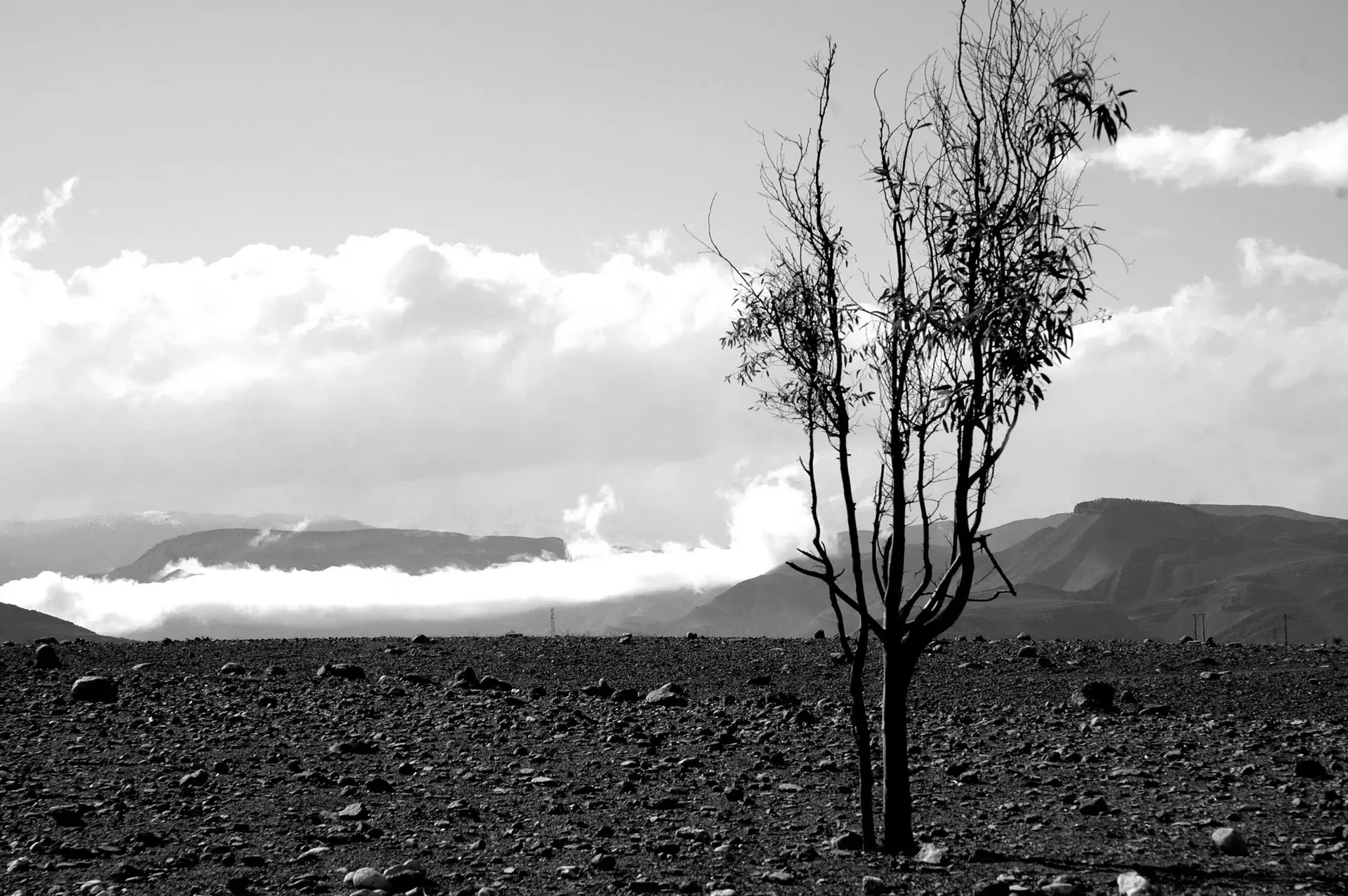 Ağadir