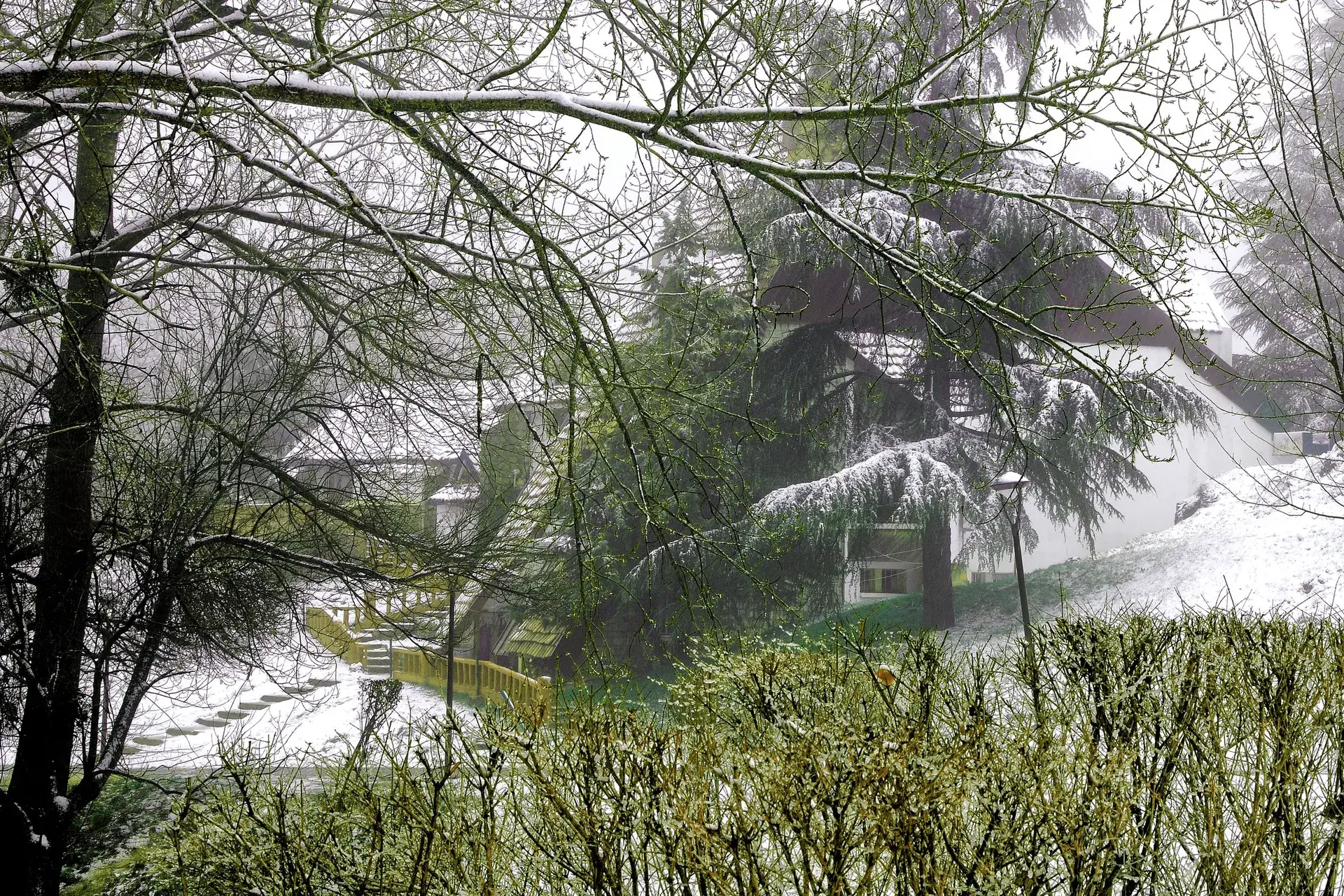 Ifrane