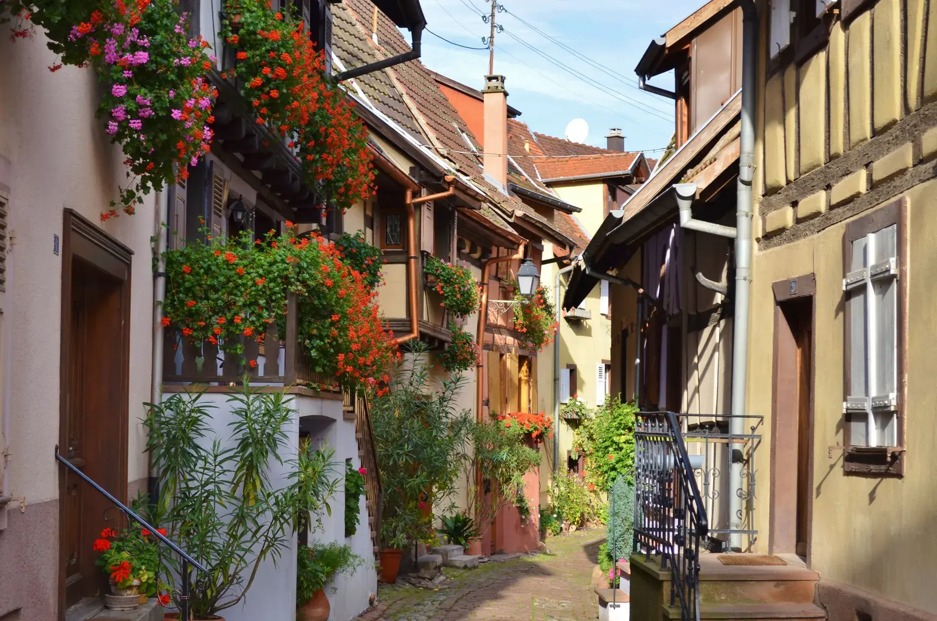 Alsace