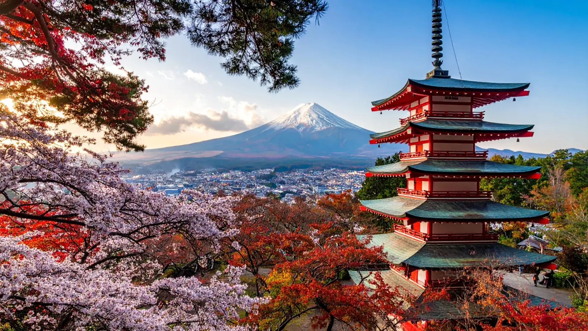 Fuji Dağı ve Chureito Pagodası; mevsimsel örnek görünüm